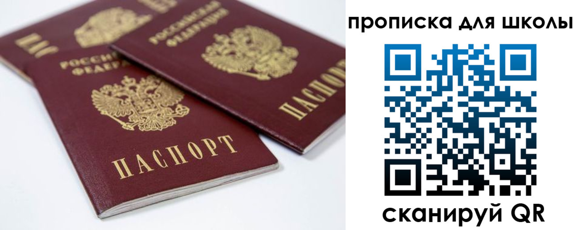 временная прописка в Щёкино
