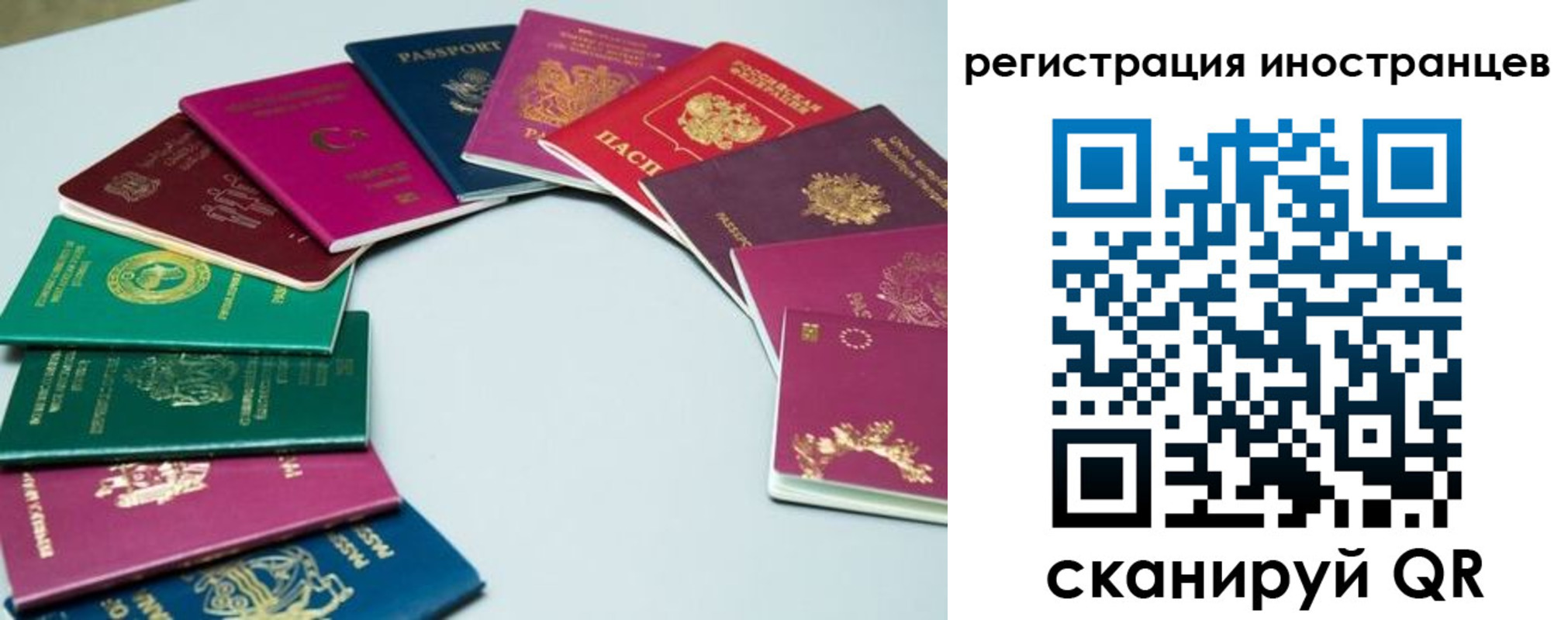 регистрация в Щёкино